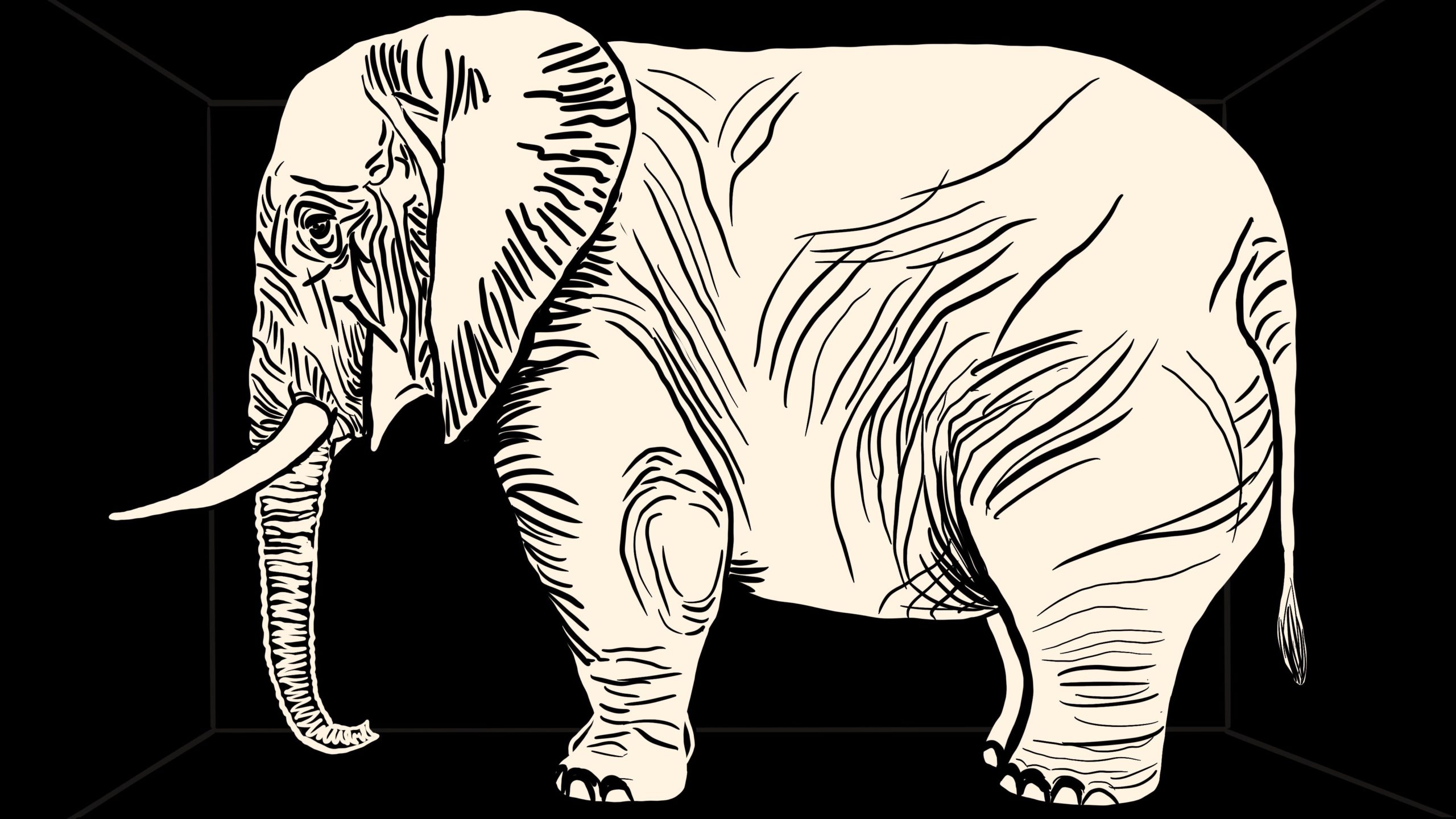 climate crisis elephant in the room