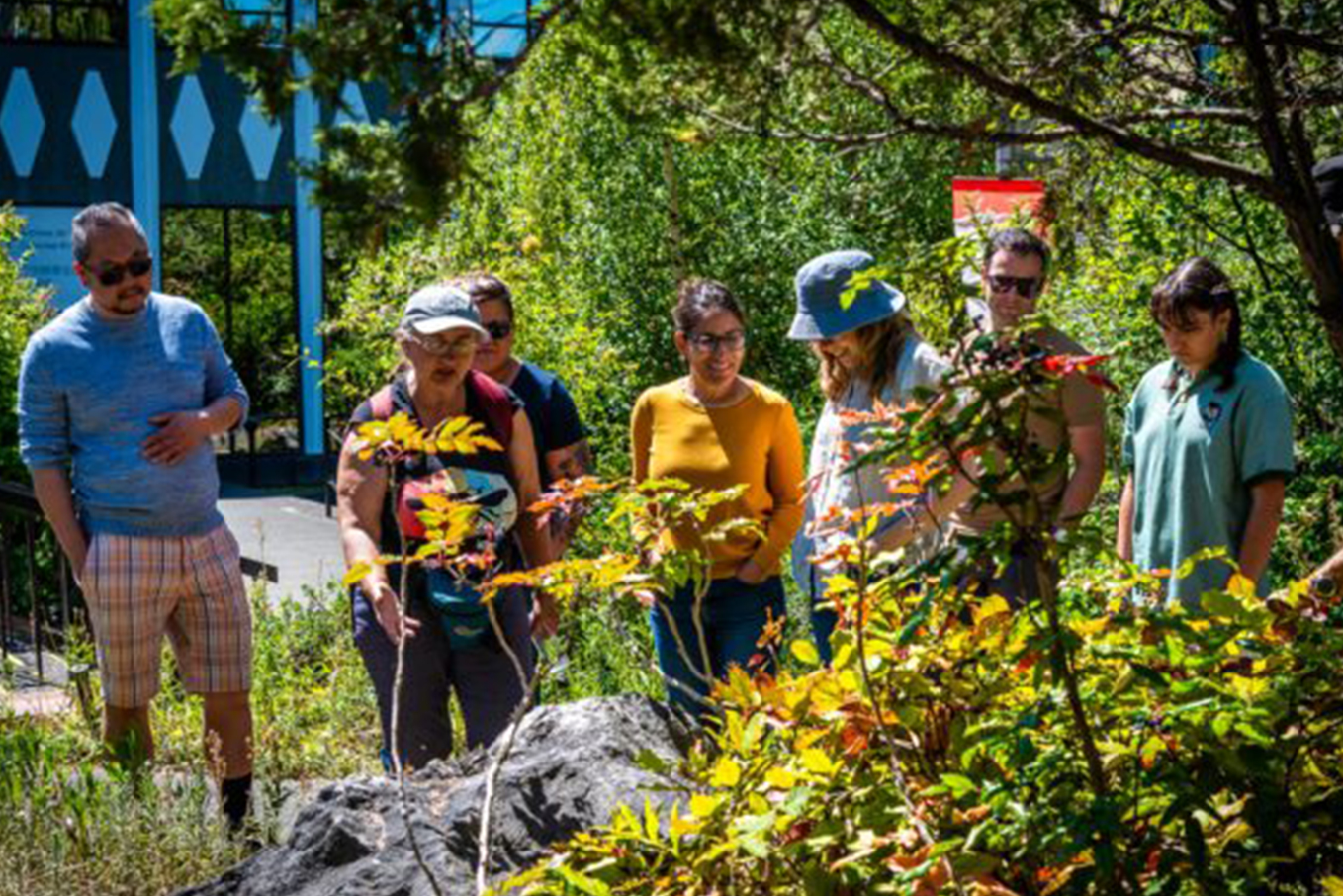 The hcma Victoria staff enjoying a walk with Lori Weidenhammer.
